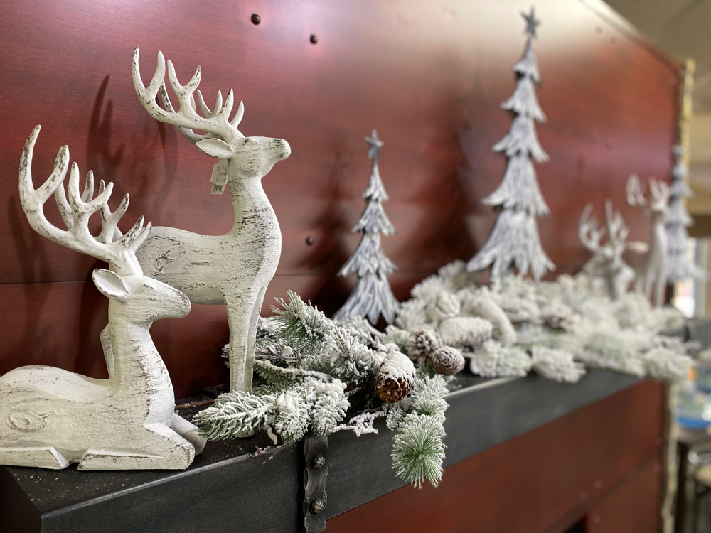 Reindeer